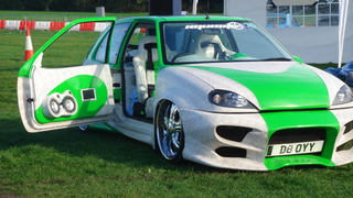 Snakeskin Hatchback (CItroen Saxo)